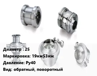 Клапан нержавеющий 25 19нж53нж Ру40 обратный, поворотный
